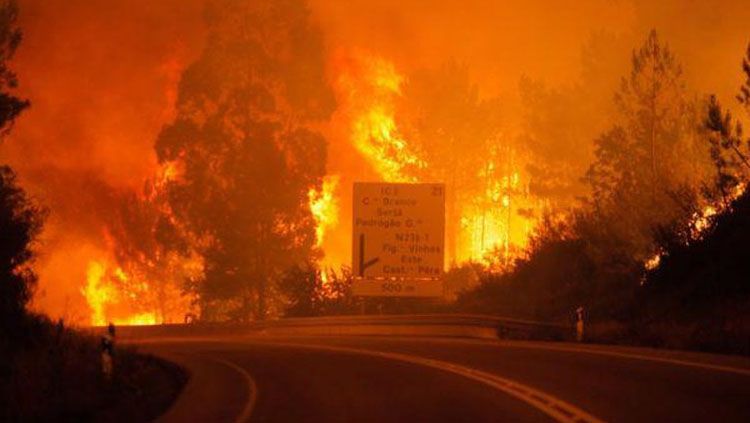 Kebakaran hutan di Portugal. Copyright: © Dok. BBC