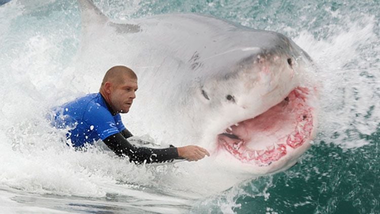 Mick Fanning, peselancar asal Australia yang nyaris diserang Ikan Hiu. Copyright: © Grafis: Eli Suhaeli/INDOSPORT