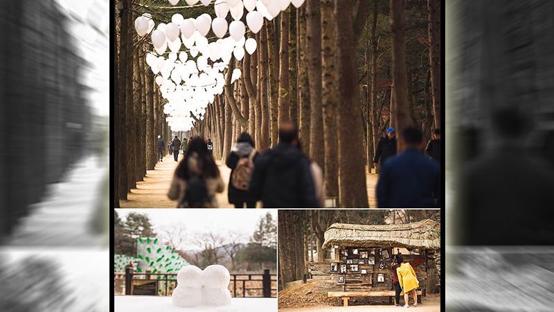 Namiseom Island Copyright: © englishvisitkorea