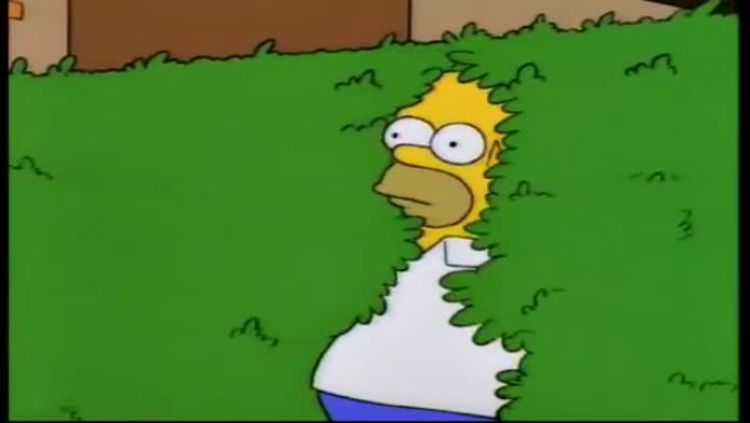 Homer Simpsons. Copyright: &copy; The Simpsons