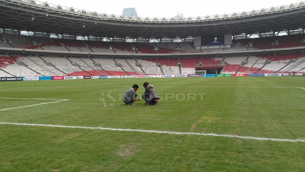 Kondisi lapangan GBK jelang laga lawan Timor Leste, rumput terlihat hijau namun di beberapa bagian tampak tidak rapat/padat usai konser Guns N' Roses. Copyright: © Petrus Manus Da'Yerimon/Indosport.com