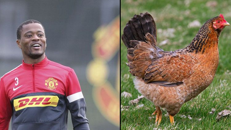Patrive Evra dikabarkan suka menjilat seekor ayam. Copyright: &copy; INDOSPORT