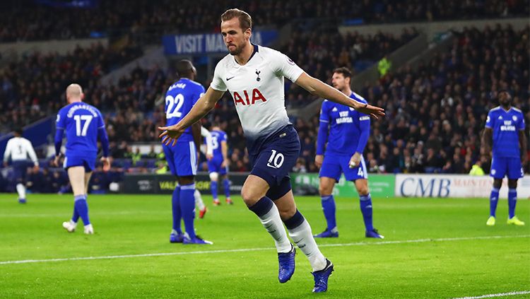 Cardiff City v Tottenham Hotspur Copyright: © Getty Images