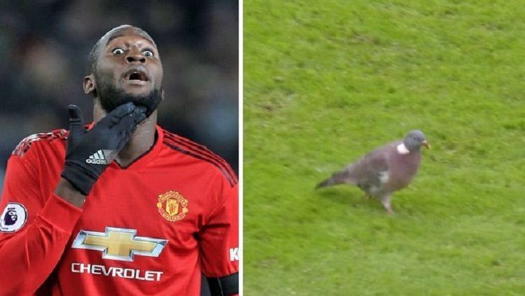 Romelu Lukaku dibandingkan dengan seekor merpati yang muncul di laga Leicester vs Manchester United Copyright: © Daily Star