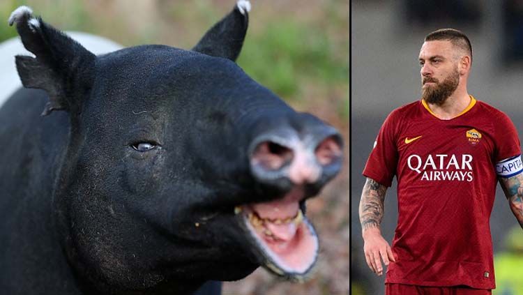 Seekor tapir dan legenda AS Roma, Daniele de Rossi. Copyright: © Gareth Fuller/NurPhoto/GettyImages