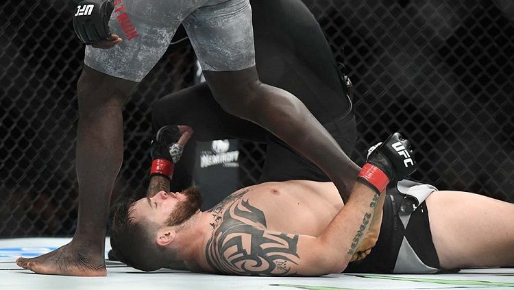 Jair Rozenstruik kalahkan allen crowder dalam 9 detik di UFC 154 Copyright: © Adam Hagy-USA TODAY Sports