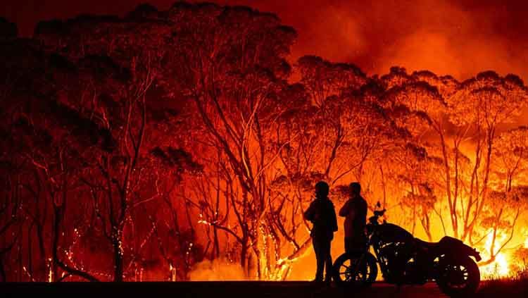 Kebakaran hutan di Australia jadi sorotan sejumlah pemain NBA. Copyright: © Vox