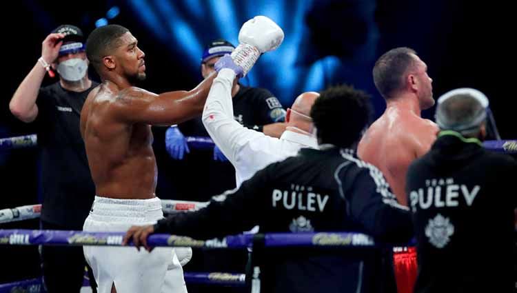 Anthony Joshua menang atas Kubrat Pulev dalam pertarungan gelar Juara Dunia Kelas Heayweight IBF, WBA, WBO dan IBO. Copyright: © Andrew Couldridge - Pool/Getty Images