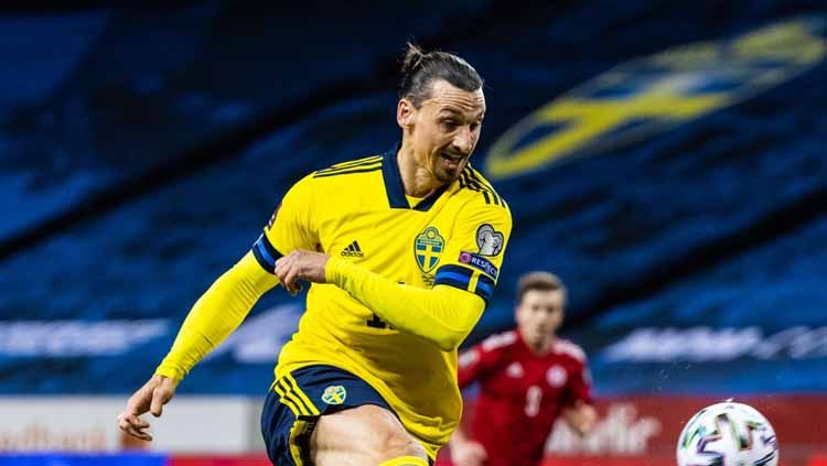Swedia Tak Lolos Piala Dunia 2022, Ibrahimovic 'Ngamuk' di Tempat Latihan AC Milan. Copyright: © Michael Campanella/Getty Images