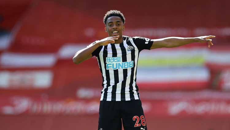 Terbuang dari skuat Arsenal, Joe Willock jadi pahlawan baru Newcastle United. Terbaru, ia menyelamatkan The Magpies dari kekalahan saat berjumpa Liverpool. Copyright: © David Klein - Pool/Getty Images