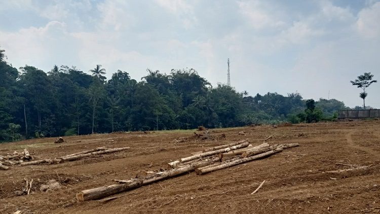 Lahan yang akan dibangun menjadi training center PSIS Semarang di Salamsari, Boja. Copyright: © Alvin Syaptia Pratama/INDOSPORT