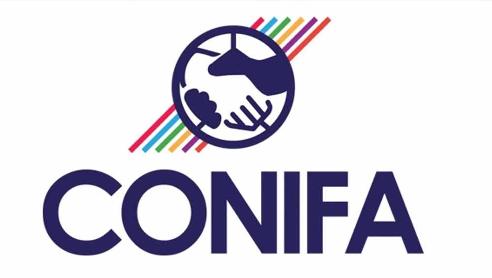 Logo CONIFA. Copyright: © skysports