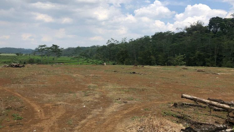 Lokasi pembangunan training center PSIS di Kawasan Salam Sari, Boja, Kabupaten Kendal. Copyright: © Alvin Syaptia/INDODPORT