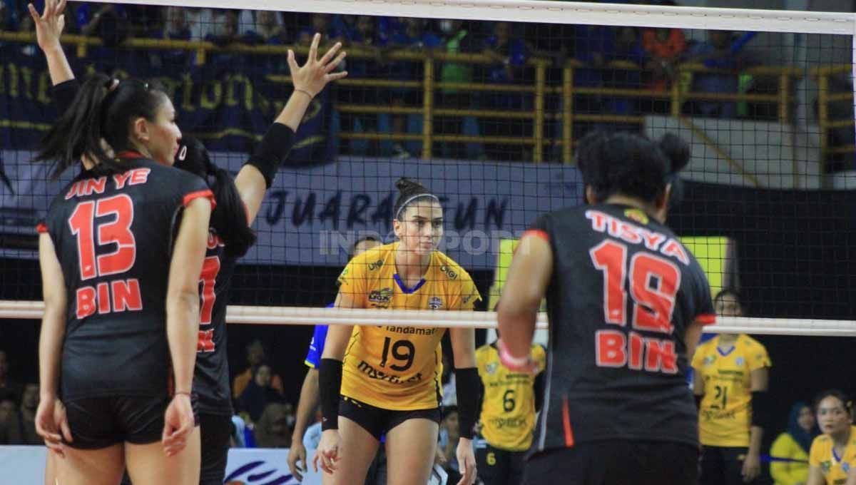 Pemain voli putri asal Turki, Ceren Kapucu menjalani debut bersama Bandung BJB Tandamata di Proliga musim 2023, saat menghadapi tim putri Jakarta BIN, Minggu (08/01/23). Copyright: © Arif Rahman/INDOSPORT